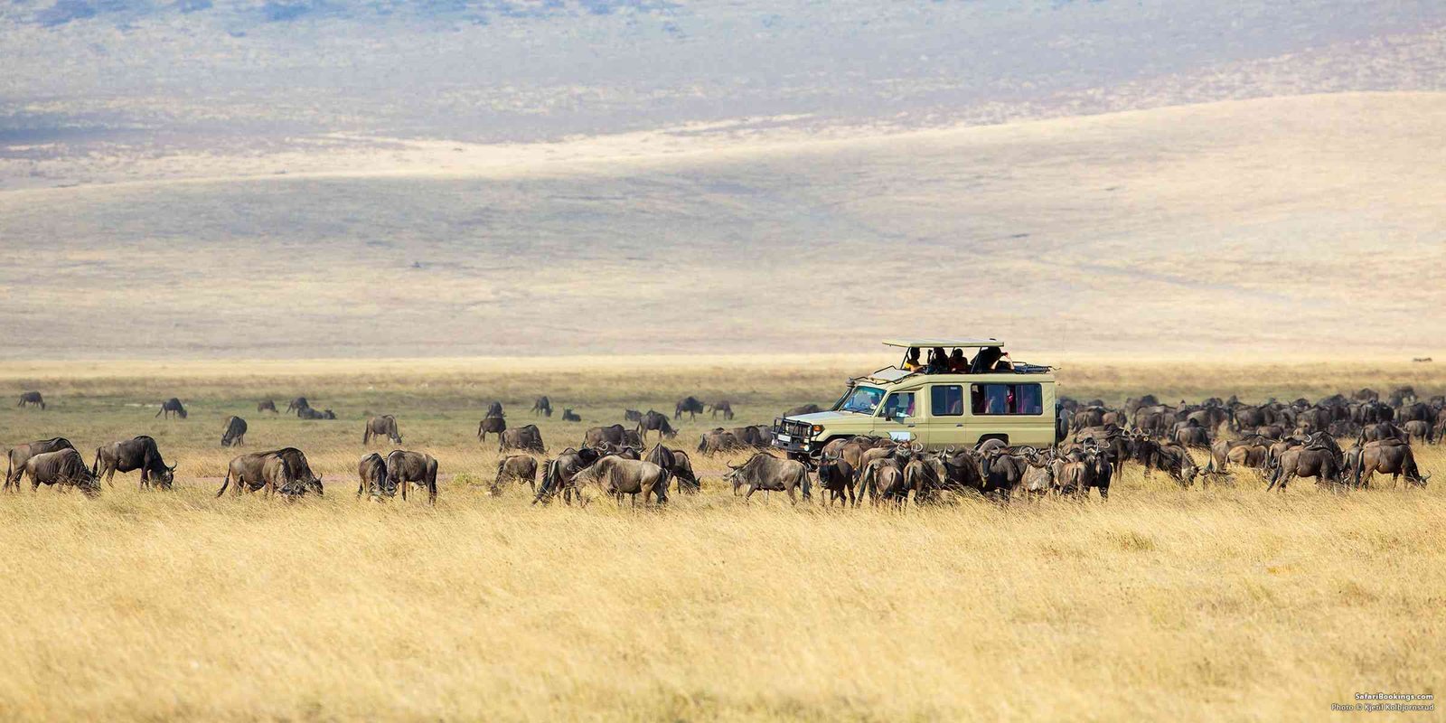 What Are The Three Major Tourist Attractions In Tanzania