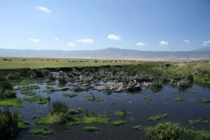 ngorongoro-crater-nature-reserve-tanzania